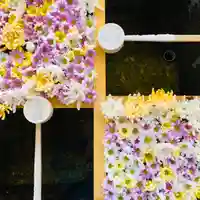 土津神社|こどもと出世の神さまの手水舎