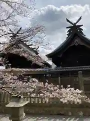 住吉神社の本殿