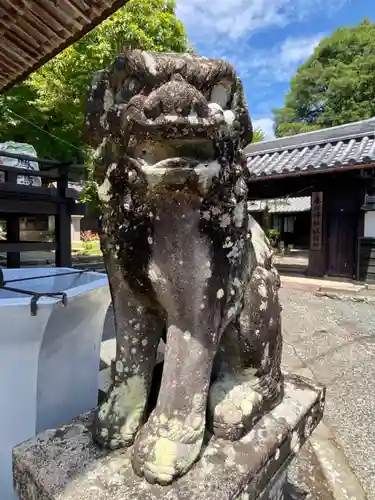 篠山春日神社の狛犬