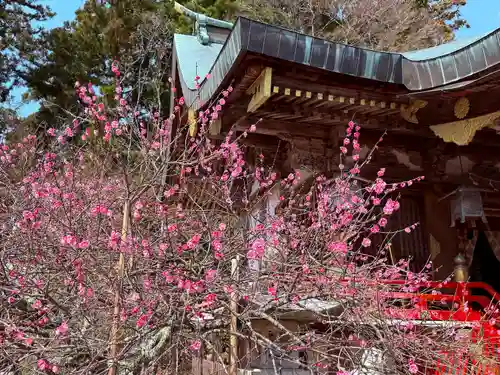 常宮神社(福井県)