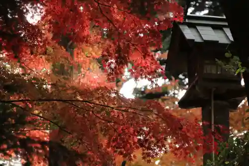 三春大神宮の庭園