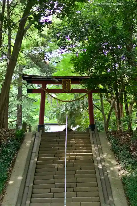 氷川女體神社(埼玉県)