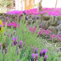 寿量山 速成寺の自然