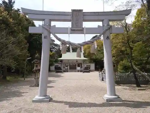 津島神社の鳥居