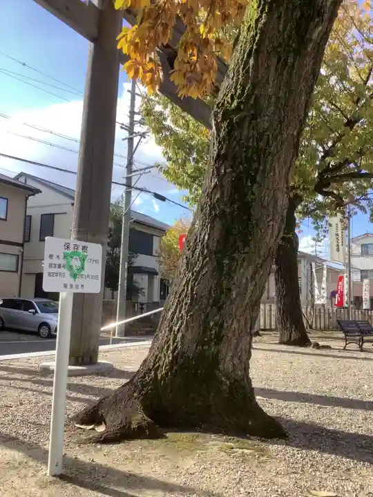 澁川神社(渋川神社)の庭園