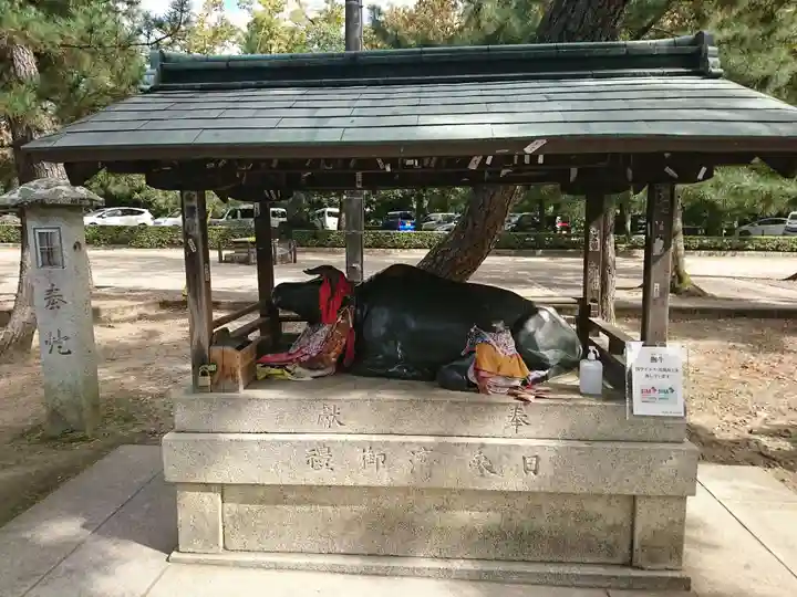 北野天満宮の狛犬