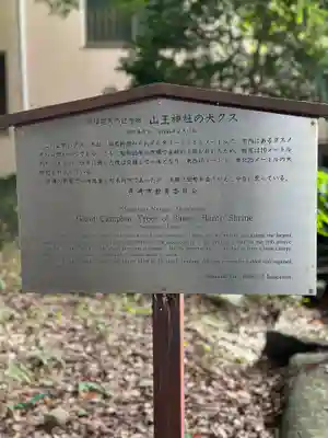 山王神社の歴史