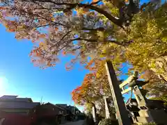 白鳥神社(長野県)