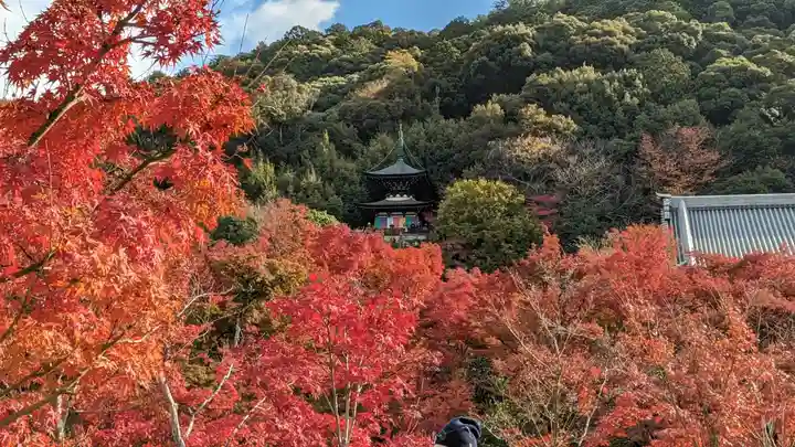 禅林寺(永観堂)(京都府)