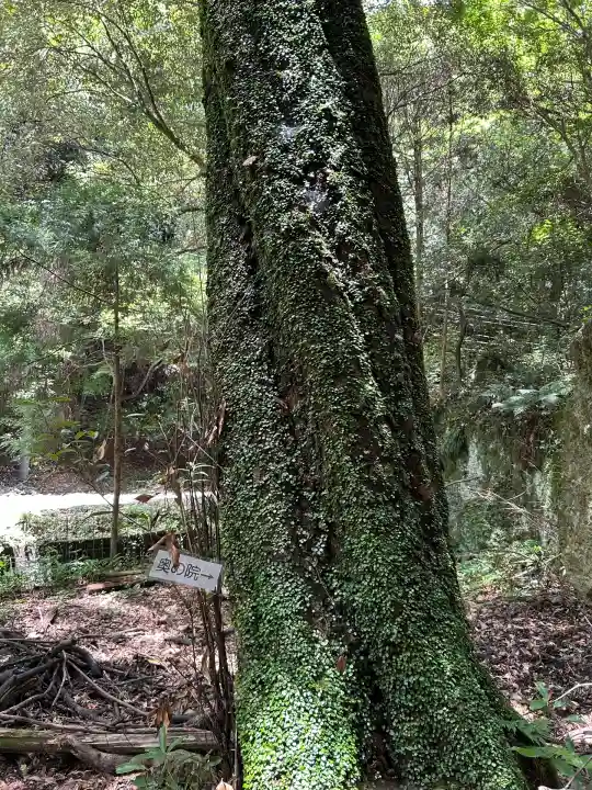 旧妙見宮奥之院(巌屋神社)(愛知県)