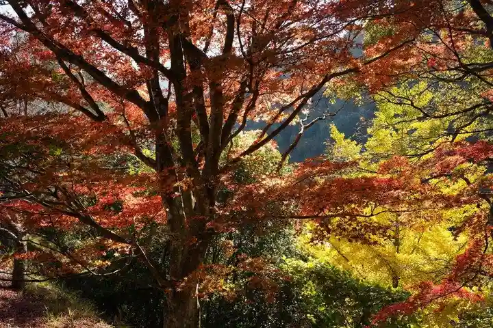 麻羅観音(山口県)