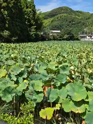 櫻宮神社(静岡県)