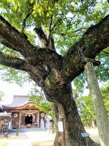新北神社の自然