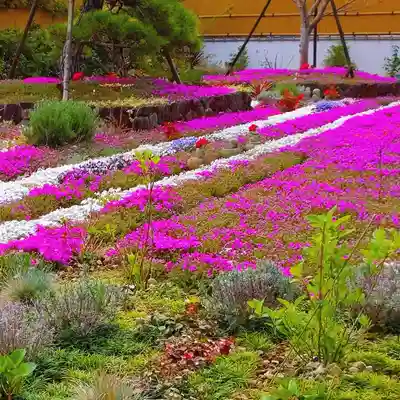寿量山 速成寺(奈良県)