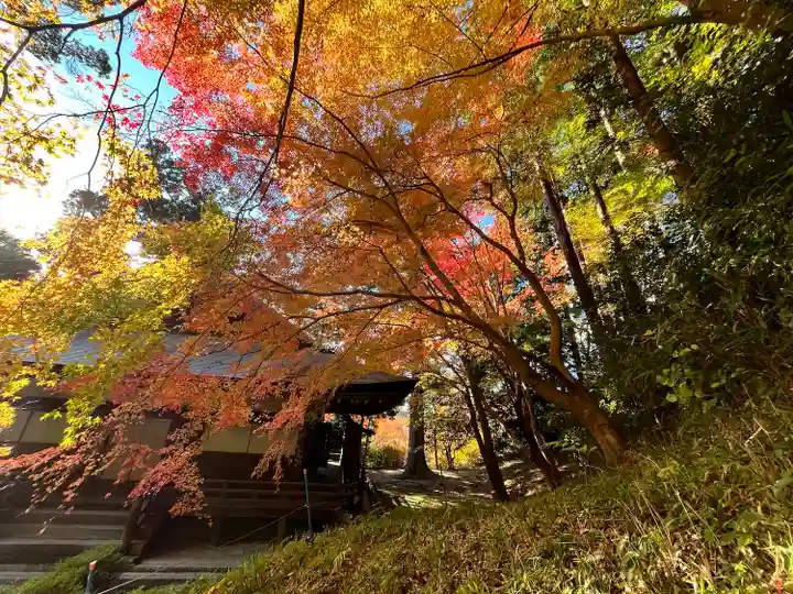 弘川寺(大阪府)