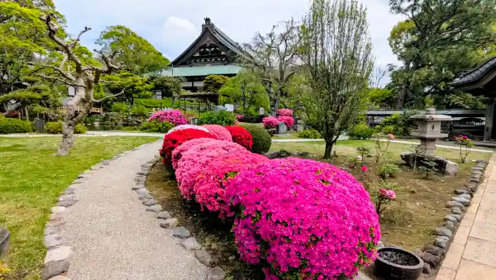 時宗総本山 遊行寺(正式:清浄光寺)の{uncategorized: "未分類", other: "その他", undefined: "問題あり", building: "その他建物", grave: "お墓", sacred_gate: "鳥居", guardian: "狛犬", statue: "像", buddha: "仏像", history: "歴史", nature: "自然", garden: "庭園", animal: "動物", pagoda: "塔", temizu: "手水舎", mountain_gate: "山門・神門", sanctuary: "本殿・本堂", subordinate: "末社・摂社", art: "芸術", scenery: "景色", jizo: "地蔵", ema: "絵馬", goshuin: "御朱印", omikuji: "おみくじ", items: "授与品その他", amulet: "お守り", goshuincho: "御朱印帳", eats: "食事", festival: "お祭り", votive_dance: "神楽", shichigosan: "七五三参", wedding: "結婚式", experience: "体験その他", initially: "初詣", around: "周辺", anti_infection: "感染症対策"}