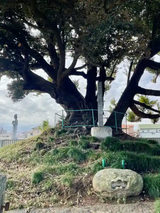 最勝院の{uncategorized: "未分類", other: "その他", undefined: "問題あり", building: "その他建物", grave: "お墓", sacred_gate: "鳥居", guardian: "狛犬", statue: "像", buddha: "仏像", history: "歴史", nature: "自然", garden: "庭園", animal: "動物", pagoda: "塔", temizu: "手水舎", mountain_gate: "山門・神門", sanctuary: "本殿・本堂", subordinate: "末社・摂社", art: "芸術", scenery: "景色", jizo: "地蔵", ema: "絵馬", goshuin: "御朱印", omikuji: "おみくじ", items: "授与品その他", amulet: "お守り", goshuincho: "御朱印帳", eats: "食事", festival: "お祭り", votive_dance: "神楽", shichigosan: "七五三参", wedding: "結婚式", experience: "体験その他", initially: "初詣", around: "周辺", anti_infection: "感染症対策"}