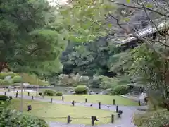 青蓮院門跡の庭園