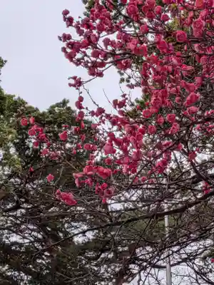 田端神社(東京都)