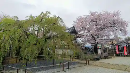 佉羅陀山地蔵院薬王寺の庭園