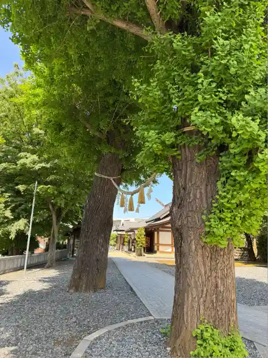 代田八幡神社(東京都)