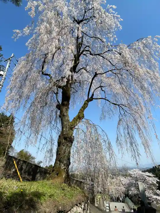妙義神社(群馬県)