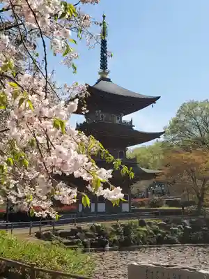 大雄院(群馬県)