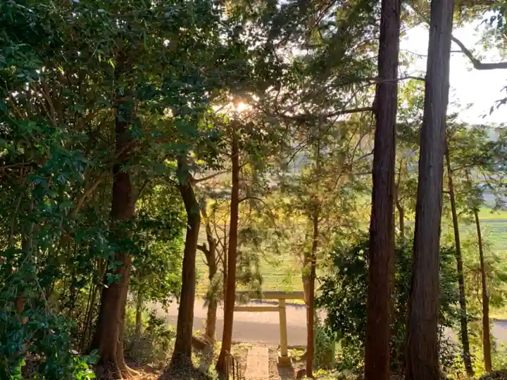 白山神社の周辺