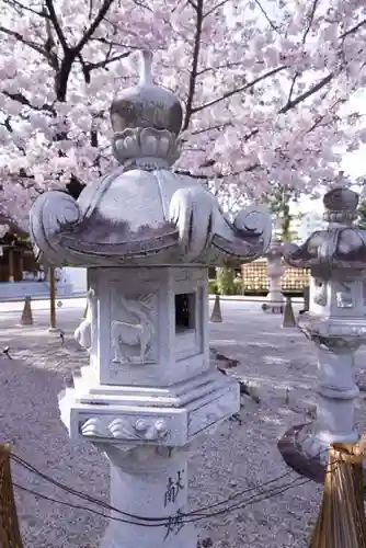 伊和志津神社の自然
