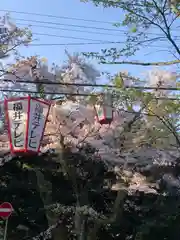 足羽神社(福井県)