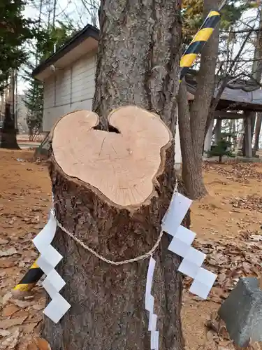 大谷地神社のその他建物
