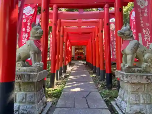 大杉神社の狛犬