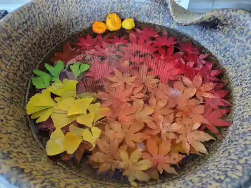 美瑛神社の手水舎