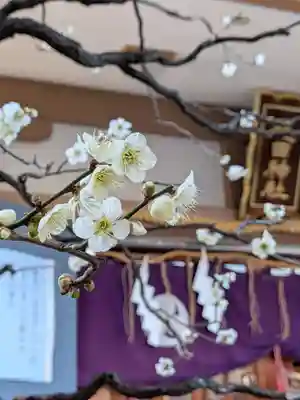 穏田神社(東京都)