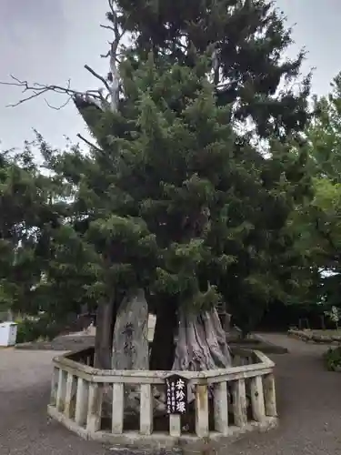 道成寺の建物その他