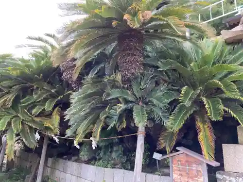 叶神社（東叶神社）の自然