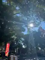 大宮・大原神社(千葉県)