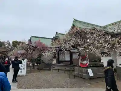北野天満宮(京都府)