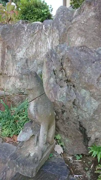榎稲荷神社の狛犬