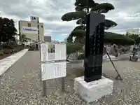 選擇寺(千葉県)