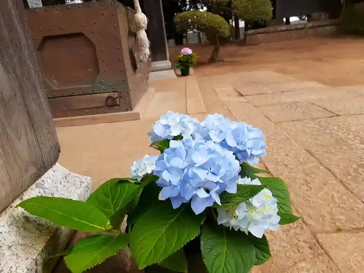 伏木香取神社の自然