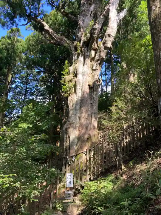 玉置神社(奈良県)