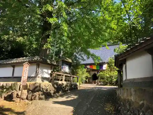 高照寺の山門