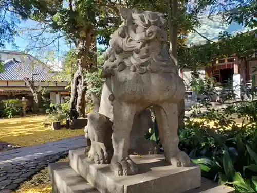 奥澤神社の狛犬