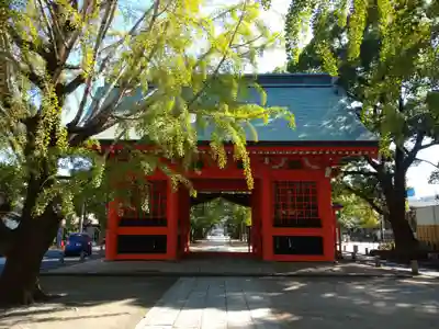 葛飾八幡宮の山門・神門