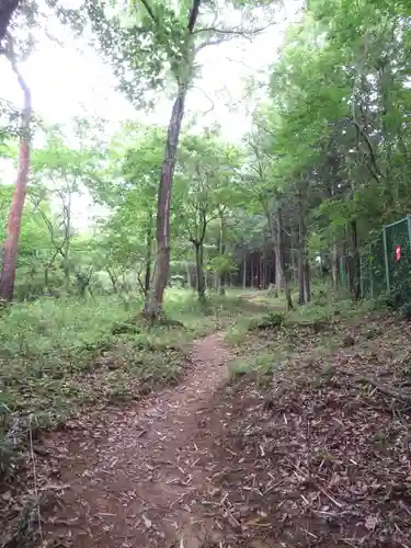 賀茂別雷神社(栃木県)