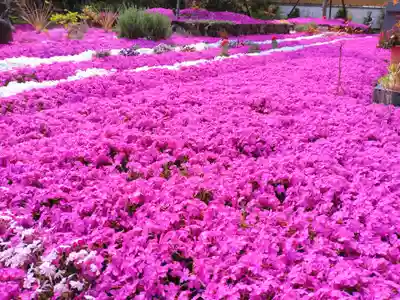 寿量山 速成寺(奈良県)
