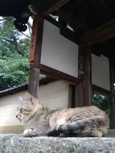 長岳寺の動物