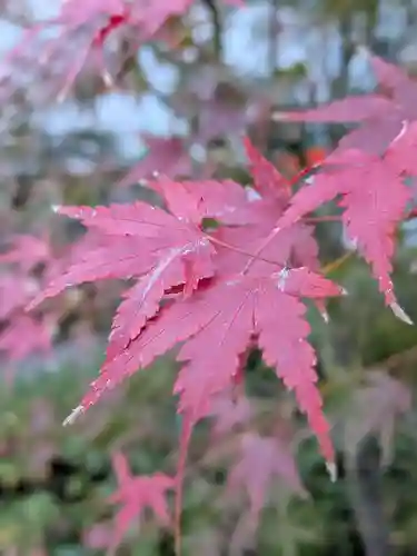 成子天神社(東京都)