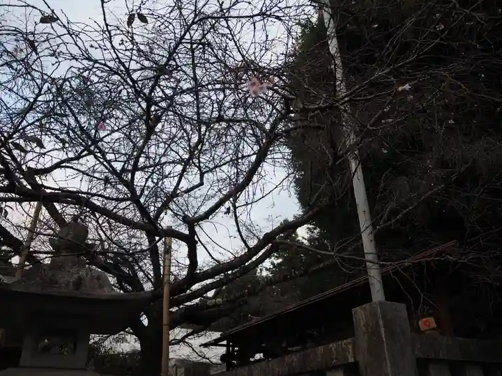 新町御嶽神社(東京都)